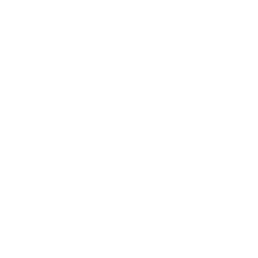 Speed icon